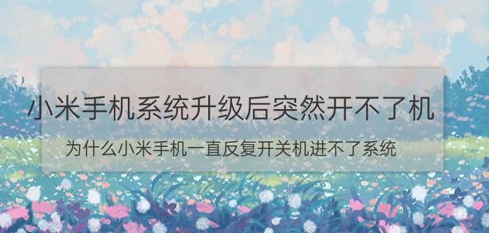 小米手机系统升级后突然开不了机 为什么小米手机一直反复开关机进不了系统？